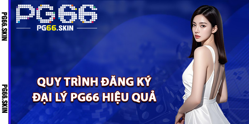 Quy trình đăng ký đại lý PG66 hiệu quả